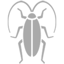 icon of a cockroach