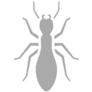 icon of a termite
