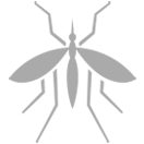 icon of a mosquito